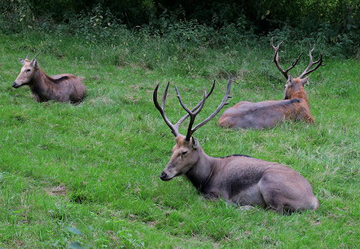 Parkeerplaats Natuurpark Lelystad