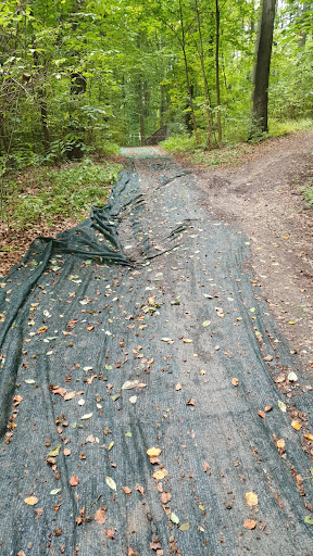 Alte Rodelbahn - Thumbnail