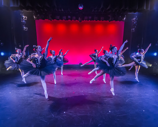 Dance Network - Visual
