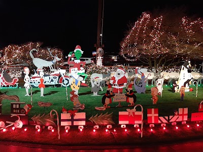 Winter Lights Show