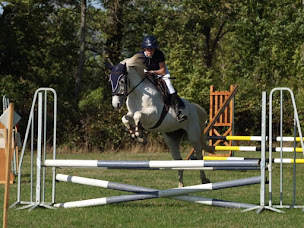 Photo n°11 de Ecurie d'Ambur à Saint-Jacques-d'Ambur (Centre équestre)