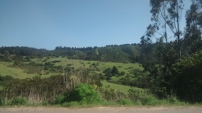 Photos of Region of Valparaiso National Park