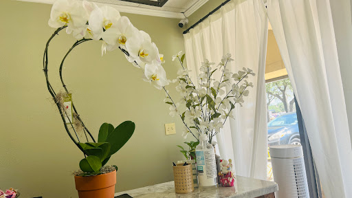Tani Spa - Visual