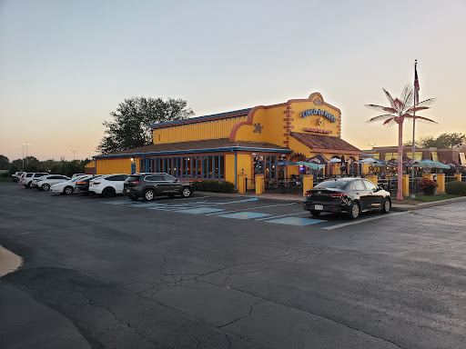 cinco de mayo - Thumbnail