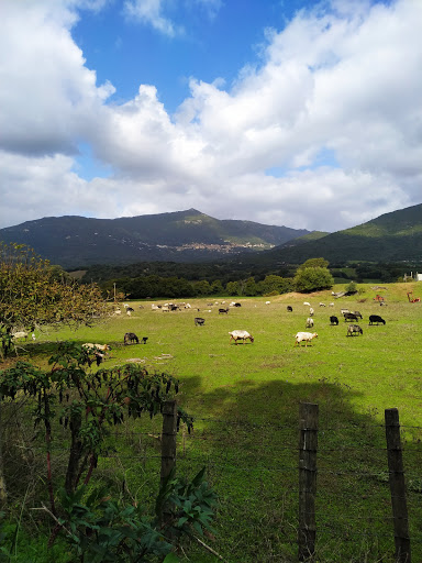Sud Corse Immobilier - Thumbnail