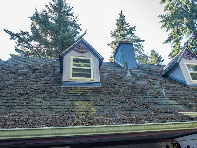 Photo of Seattle Roof Cleaning located in  - Verified Gutter Cleaning Service near me.