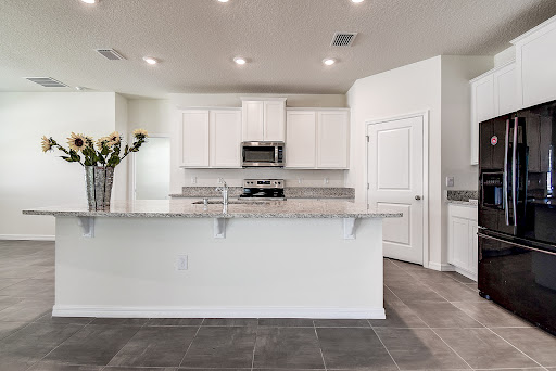 Vilma Lacorte REALTOR in Tampa Bay area, Wesley Chapel, FL - Thumbnail