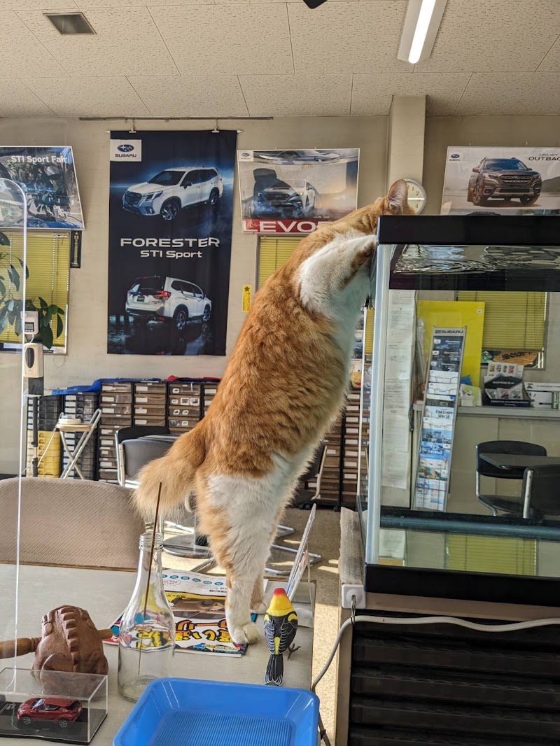 スバルショップ （有）吉良オートサービス