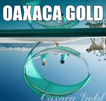 Oaxaca Gold - Thumbnail