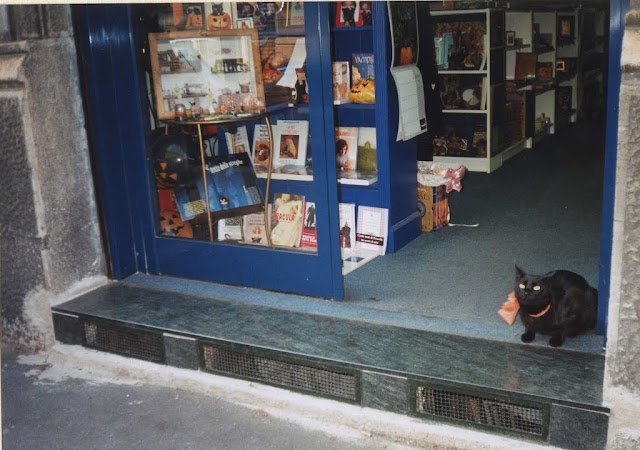 Isola Libri