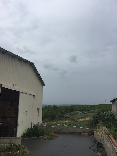 Domaine Verrier - Thumbnail