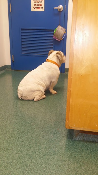 Photos of Asheboro Animal Hospital