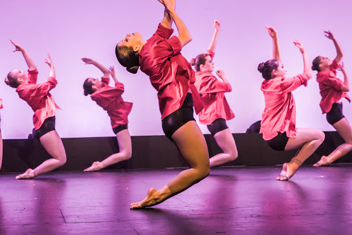 Dance Network - Visual