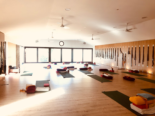 Rachel Lovegrove Yoga