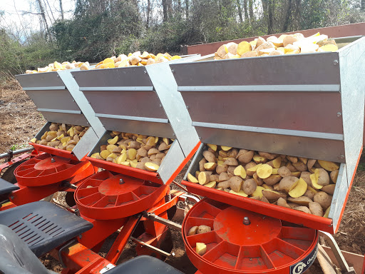 Azienda Agricola Arfuso - Thumbnail