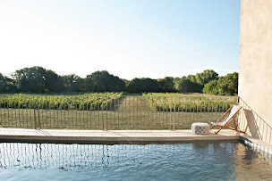 Photo n°7 de Domaine Chartreuse de Mougères à Caux (Vignoble)