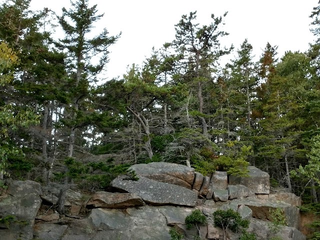 Ocean Path Trailhead