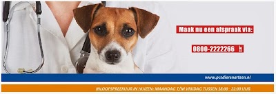 veterinary-care