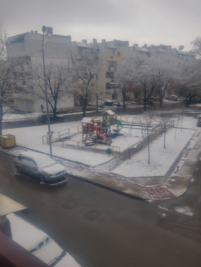 Photos of Videnov