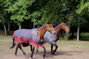 Photo n°83 de Maison d'Hôtes Sainte-Marie à Mirande (Restaurant)