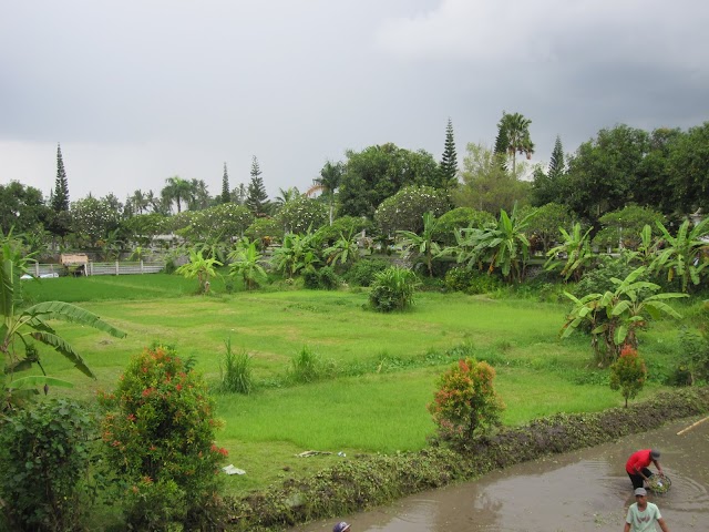 Ubud Palace