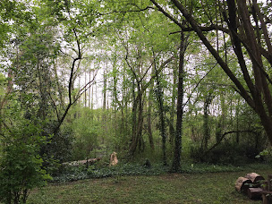 Photo n°17 de COCON VOYAGEUR Chambres d'hôtes, Antigymnastique, atelier créativité à La Limouzinière (Programme de bien-être)