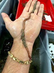 Photo n°21 de Poseidon à Sète (Magasin de pêche)