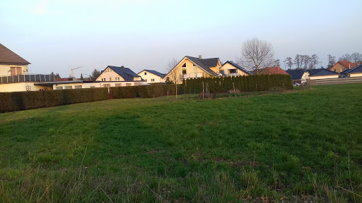 Augustdorf (Wineo Halle)