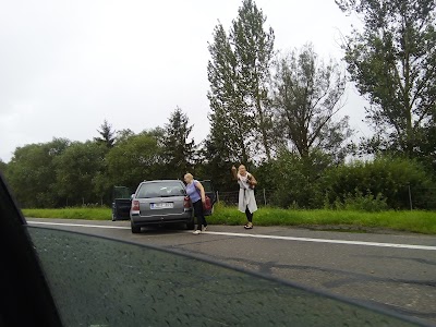 Photos of Vaitiekūnų medelynas. Babtai