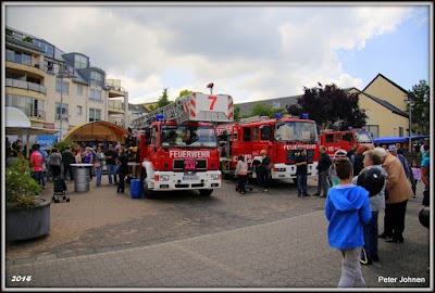 Brunnenfest