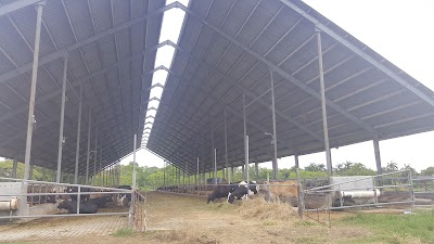 Photos of Caba&ntilde;a Sabel