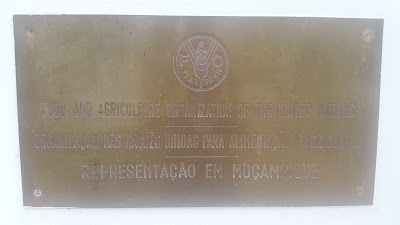 Photos of Representa&ccedil;&atilde;o da FAO em Mo&ccedil;ambique