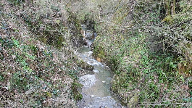 Rezensionen über Gorges du Chauderon in Montreux - Kulturzentrum