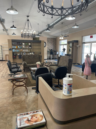 Bay Area Salon - Thumbnail