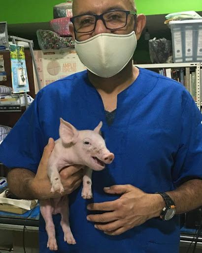 Dr. Huerta Veterinaria