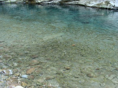 photo of Danayigu nature ecological Park