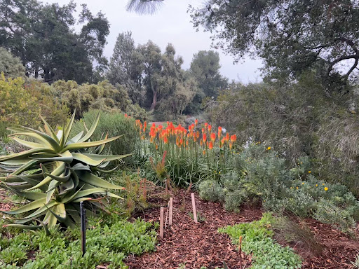 UC Davis Arboretum Teaching Nursery - Thumbnail