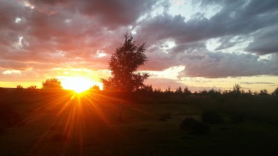 Photos of Signeda | Automobilių kėbulo dalys | Žibintai | Akumuliatoriai | Radiatoriai