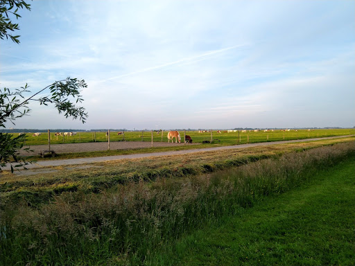Aemestellehoeve - Thumbnail