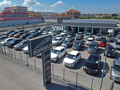 GRUPPO SGARIGLIA SRL