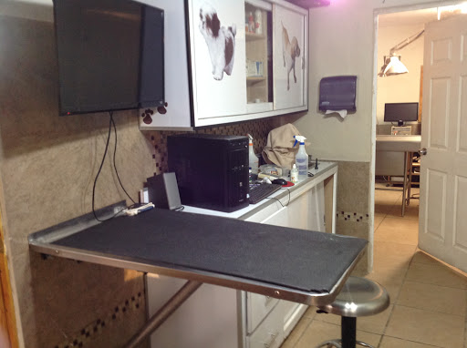 Vet Hospital Northeast - Thumbnail