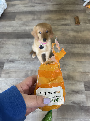 Scally Waggs Doggy Bakery & Pet Supplies - Thumbnail