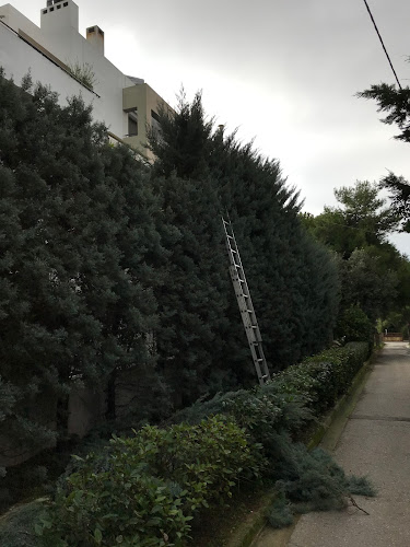 Θρακομακεδόνων 147, Αχαρνές 136 72