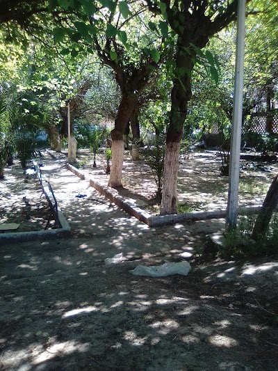 Photos of central park of ain mlila