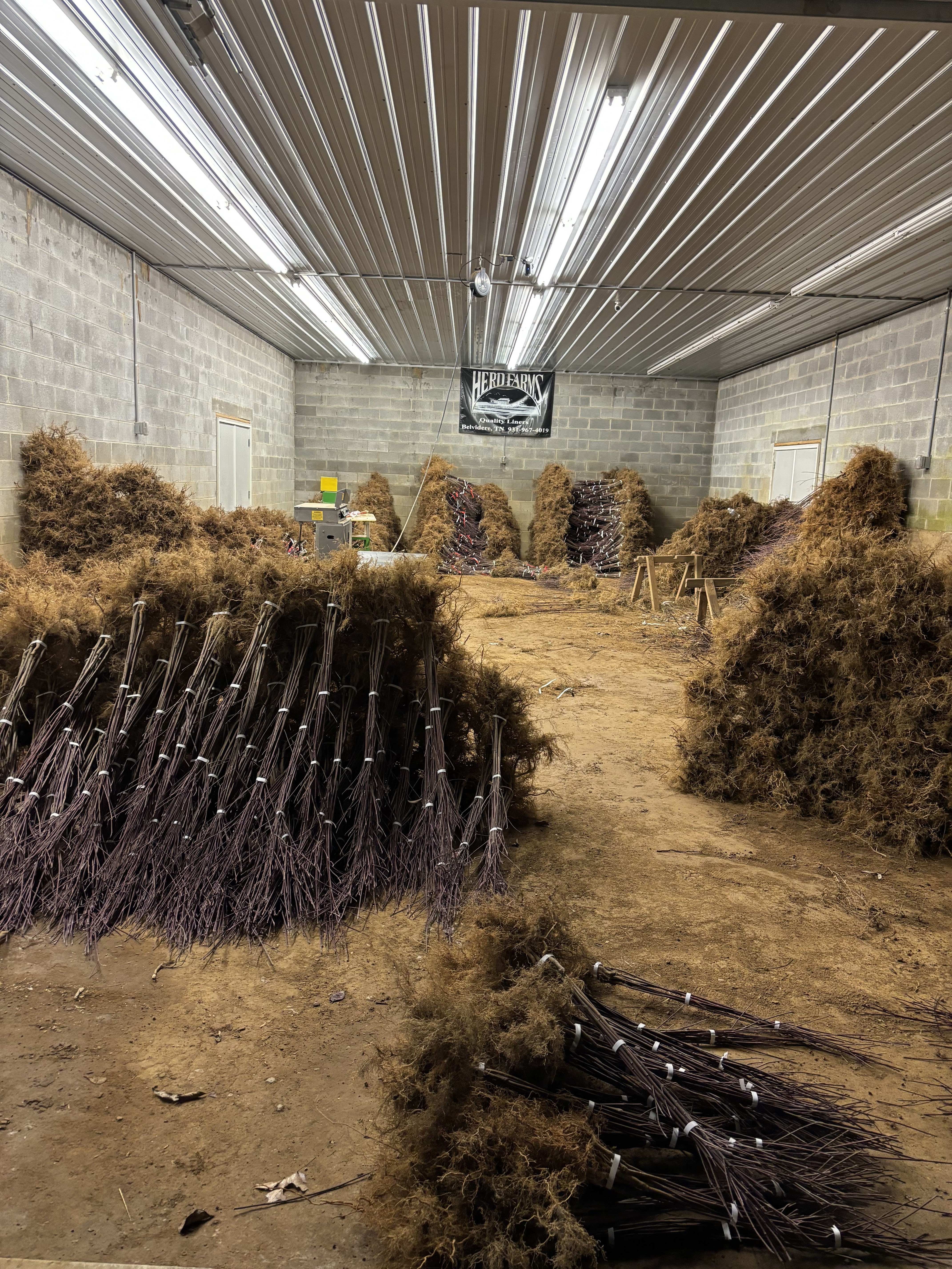 Herd Farms Nursery