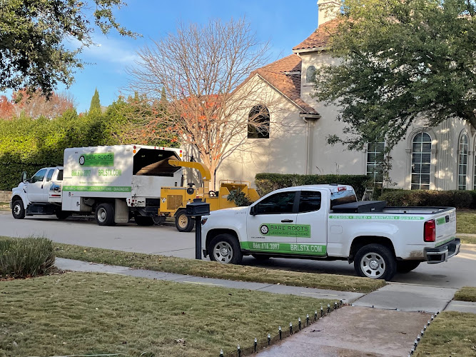 Bare Roots Tree Solutions