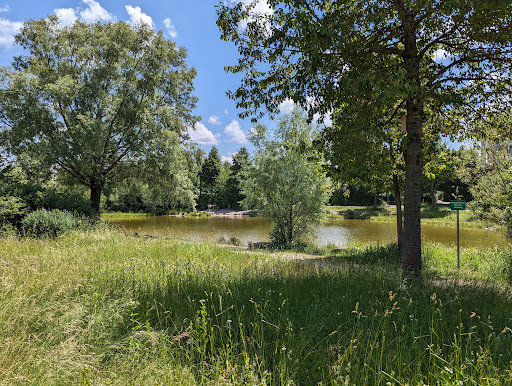 Hundesee - Visual