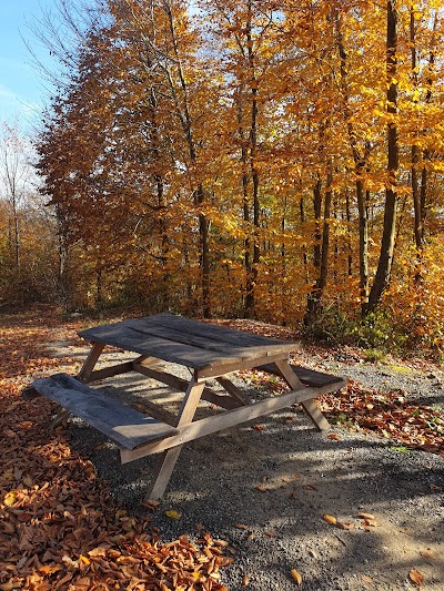 Kızılcık tepe orman park