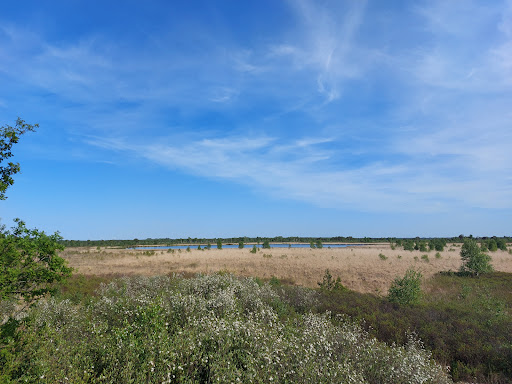 Aussichtspunkt am Moorlehrpfad
