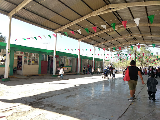 Esc. Primaria Quinto Centenario De America T.M - Thumbnail